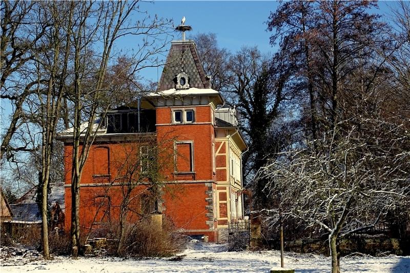 Die Horneburger Schloss-Störche sind heimgekehrt Der Schloss-Storch „Jakob“ im schneebedeckten Nest auf dem Turm. Foto: Ingrid Duncker