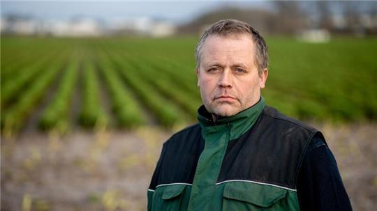 Der Schneefall hat die Grünkohlernte für Gottfried Gerken frühzeitig beendet.