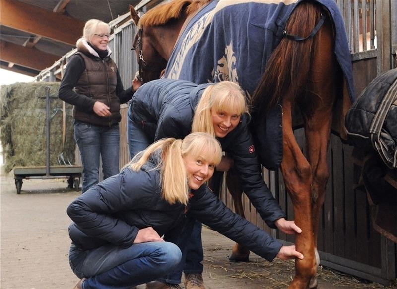 Der Schwerpunkt von Kati und Rike van der Weerd ist die Arbeit mit Pferden . Dafür kooperieren sie auch eng mit Tierärzten.