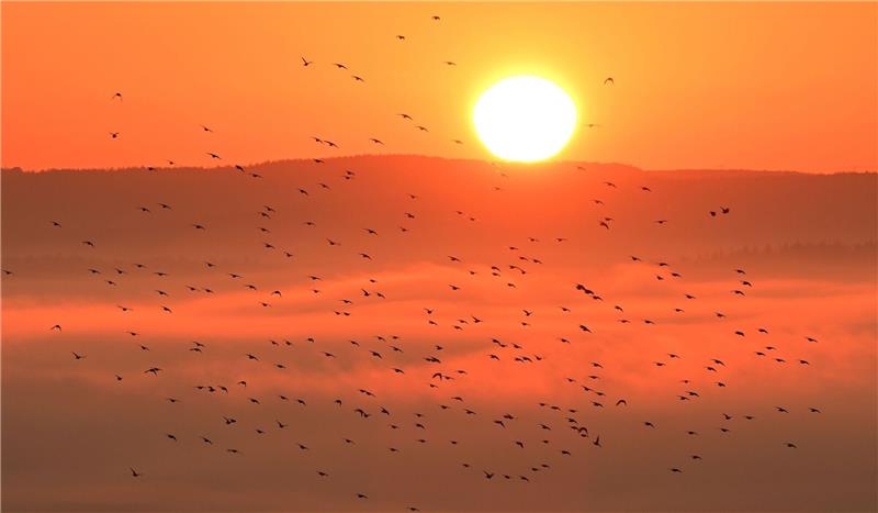 Wärmster September seit Messbeginn – aber Wirbel um Fake-Video Der September 2023 war laut vorläufiger DWD-Bilanz auch der zweitsonnigste seit Beginn der Aufzeichnungen.