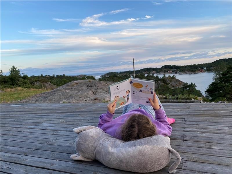 Das sind die schönsten Leseorte der Altländer Der Sieger : Urlaub in Norwegen. Foto: Schmorl