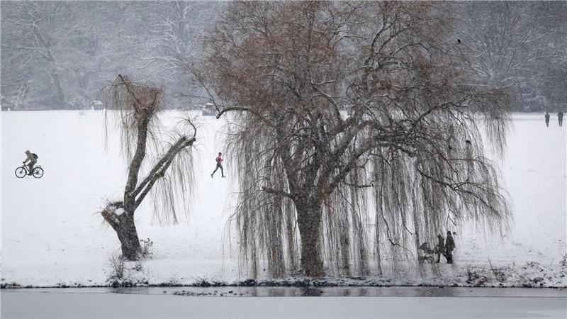 Der Stadtparksee ist fast zugefroren, aber längst nicht tragfähig. Das Schwanenwesen hat das für Übungen zur Eisrettung genutzt. (Archivbild)