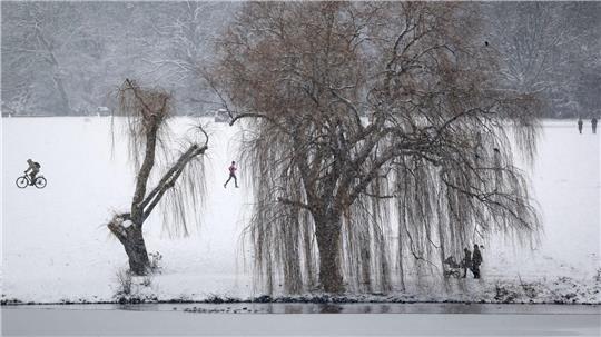 Der Stadtparksee ist fast zugefroren, aber längst nicht tragfähig. Das Schwanenwesen hat das für Übungen zur Eisrettung genutzt. (Archivbild)