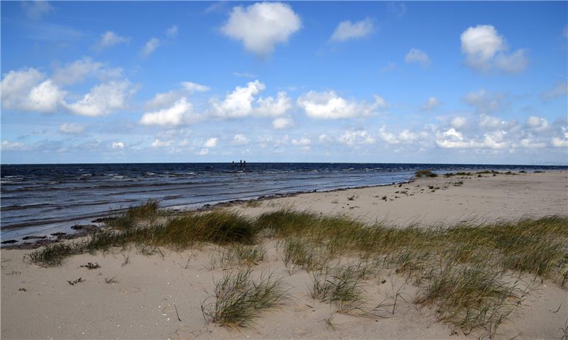 Hafenbehörde: Schlick-Deponie bei Scharhörn ökologisch unbedenklich Der Strand der Vogelschutzinsel Scharhörn (Hamburg). Foto: Carmen Jaspersen/dpa