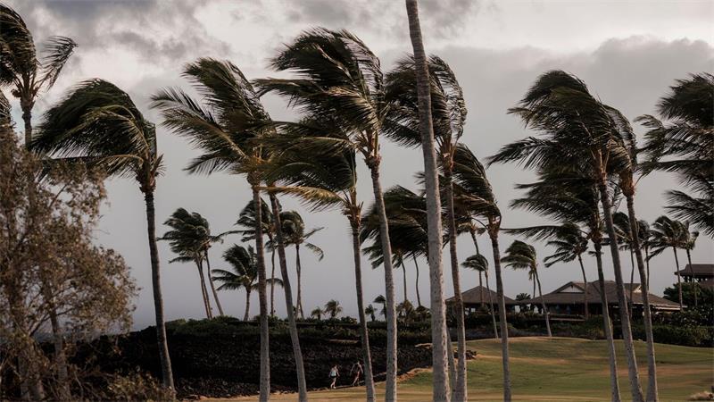 Der Sturm „Lala“ hat sich unmittelbar vor Hawaii zu einem Hurrikan verstärkt und sorgt für Überschwemmungen, Stromausfälle und Straßensperren.
