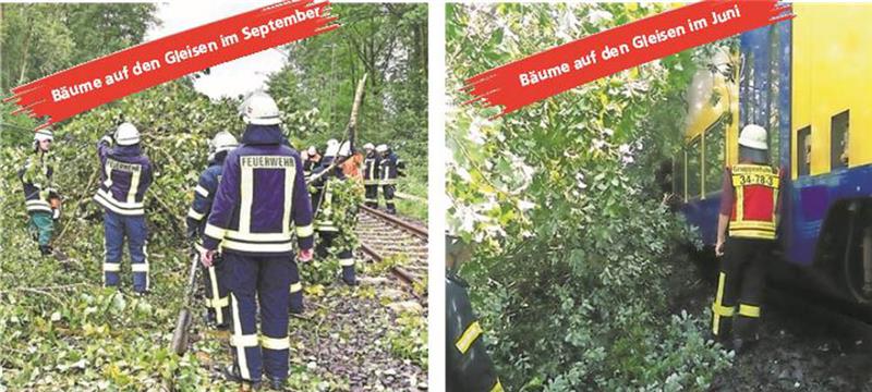 Der Sturm im September: Bäume liegen in Agathenburg auf den Gleisen. Der Sturm im Juni: Der Metronom fährt bei Burweg in einen Baumstamm
