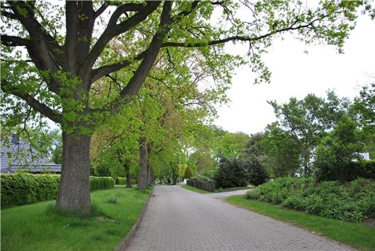 Der Thekla-von-Düring-Weg soll neu gestaltet werden. Foto: Lohmann