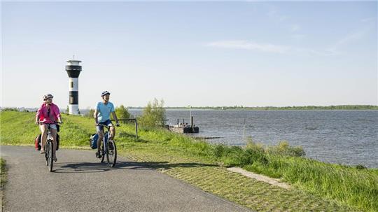 Der Tourismusverband setzt auf Fahrradfahren - wie hier auf dem Mönchsweg in Twielenfleth.