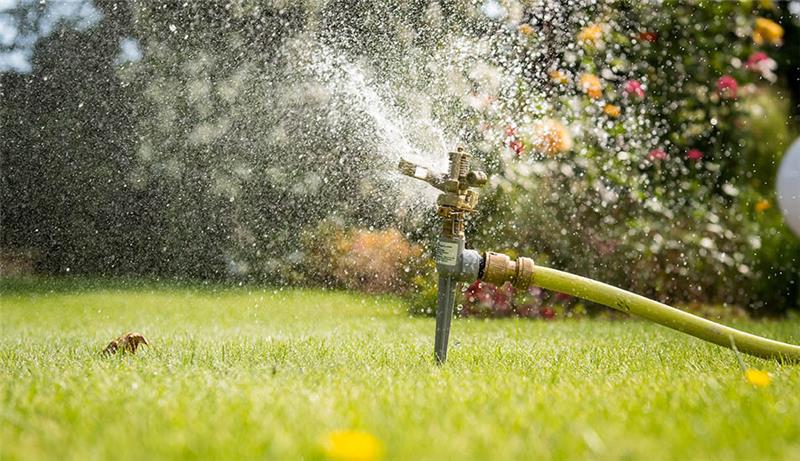 Leitungsnetz stößt an Grenzen: Trinkwasserverband mahnt zum Wassersparen Der Trinkwasserverband Stader Land fordert, den Rasen aktuell nicht mit Trinkwasser zu bewässern. Foto: Benjamin Nolte/dpa-tmn
