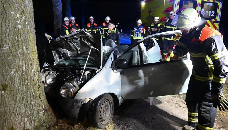 Der Twingo prallte kurz vor 21 Uhr am Sonntag an der L140 zwischen Jork und Mittelnkirchen gegen einen Baum.