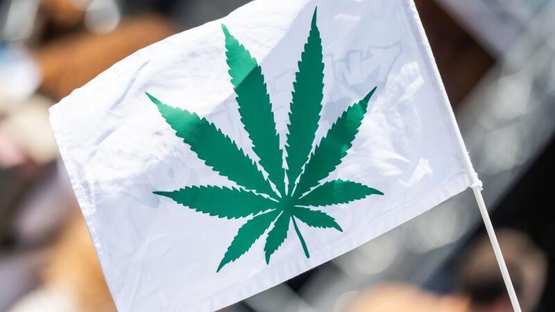 Der Umgang mit dem Cannabisblatt erregt weiterhin die Gemüter. 