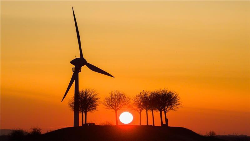 Der Umstieg von fossilen auf erneuerbare Energien ist ein Thema beim Petersberger Klimadialog. (Archivbild)