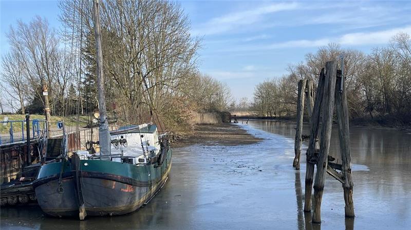 Der Unterhaltungsverband hat die toten Bäume aus dem Hafenbecken in Borstel geholt.