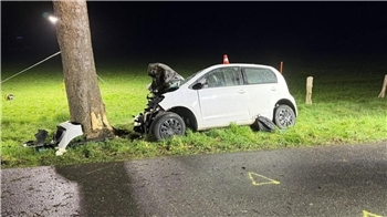 Der VW Up, besetzt mit fünf Insassen, landete auf der Heeßeler Straße an einem Baum.