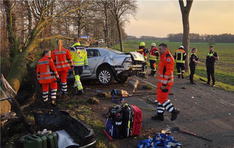 Der VW prallte zwischen Rosebruch und Bellen gegen einen Baum.