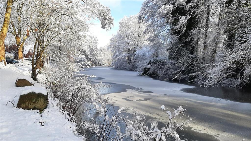 Der Viver in Buxtehude ist mit einer dünnen Eisschicht bedeckt.