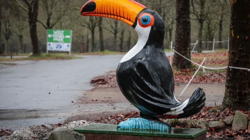Der Vogelpark in Walsrode bleibt vorerst nach Ausbruch der Vogelgrippe für Besucher geschlossen.
