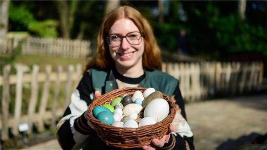 Der Vogelpark in Walsrode meldet Nachwuchs bei vielen Arten.