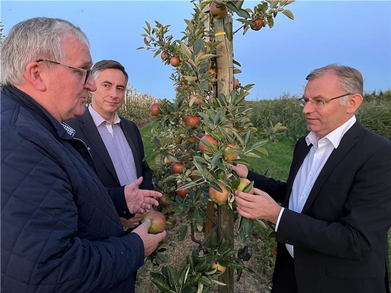 Obstbauern warnen vor Totalverbot von Pflanzenschutzmitteln Der Vorsitzende der Bundesfachgruppe Obstbau, Jens Stechmann, im Gespräch mit den EU-Abgeordneten David McAllister und Norbert Lins von der CDU. Letzterer ist Vorsitzender des Agrarausschusses im Europäischen Parlament (von links). Fotos: V