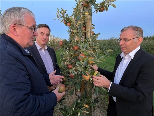 Der Vorsitzende der Bundesfachgruppe Obstbau, Jens Stechmann, im Gespräch mit den EU-Abgeordneten David McAllister und Norbert Lins von der CDU. Letzterer ist Vorsitzender des Agrarausschusses im Europäischen Parlament (von links). Fotos: V