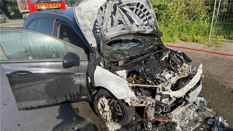 Der Wagen konnte schnell gelöscht werden.