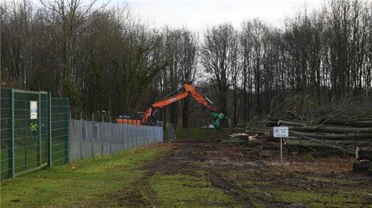 Der Wald am Wasserwerk in Dollern wird für den Neubau gerodet.