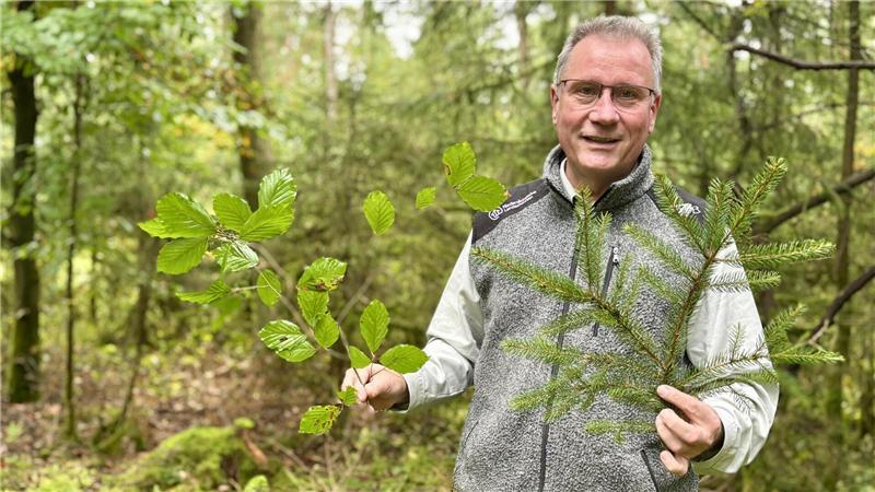 Klimastress im Forst: Wie Harsefelder den Wald der Zukunft pflanzen Der Wald ist im Umbau. Von unten wachsen neue Bäume nach. Buche und Eiche im Tausch gegen Nadelgehölz ist das Ziel für den Braken, erklärt Arne Riedel.