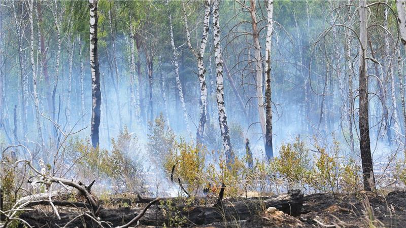 Der Waldbrand auf dem mit Kampfmitteln belasteten Gelände bei Jüterbog ist der bislang größte Waldbrand in dieser Saison in Brandenburg.