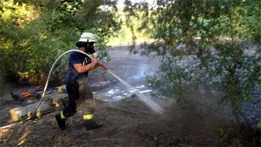 Der Waldbrand drohte, auf ein VHS-Gebäude in Lingen überzugreifen. (Symbolbild) 