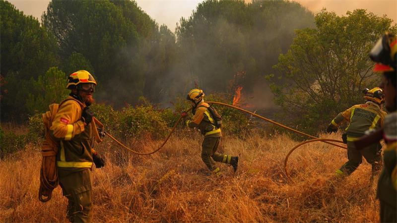 Langsame Fortschritte bei Waldbrand-Bekämpfung in Spanien Der Waldbrand in Ávila gilt bereits als der größte der jüngeren Geschichte Spaniens.