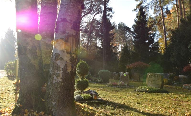 Der Waldfriedhof in Buxtehude ist ein idyllisches Fleckchen, das von vielen auch als Park genutzt wird. Fotos Nowottny