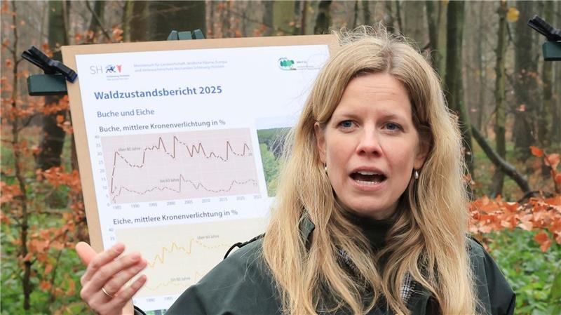 Der Waldzustand möglichst zu verbessern, gehört zu den Aufgabengebieten der neuen Forstministerin Cornelia Schmachtenberg. 