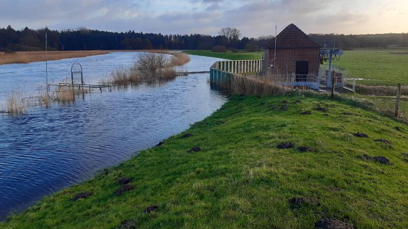 Der Wasserstand an der Oste Mitte der Woche: deutlich erhöht, aber ungefährlich.
