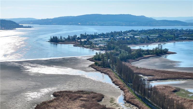 Trockenperiode in Deutschland - was sind die Folgen? Der Wasserstand des Bodensees ist aktuell sehr niedrig.