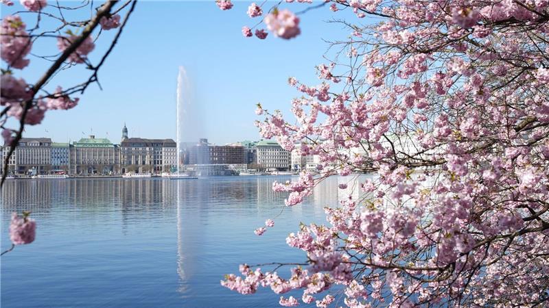 Der Wasserstrahl läutet seit 40 Jahren den Frühling ein.