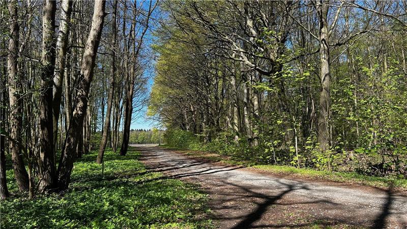 Der Weg zum Richthügel - im Juli 1835 kamen Tausende zur Hinrichtung bei Himmelpforten.