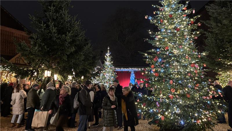 Winterwald und Öko-Klos: Der Buxtehuder Weihnachtsmarkt im TAGEBLATT-Check Der Weihnachtswald auf dem St.-Petri-Platz.