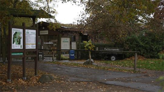 Der Wildpark bleibt nach dem Wolfsangriff auf ein achtjähriges Mädchen vorerst geschlossen.