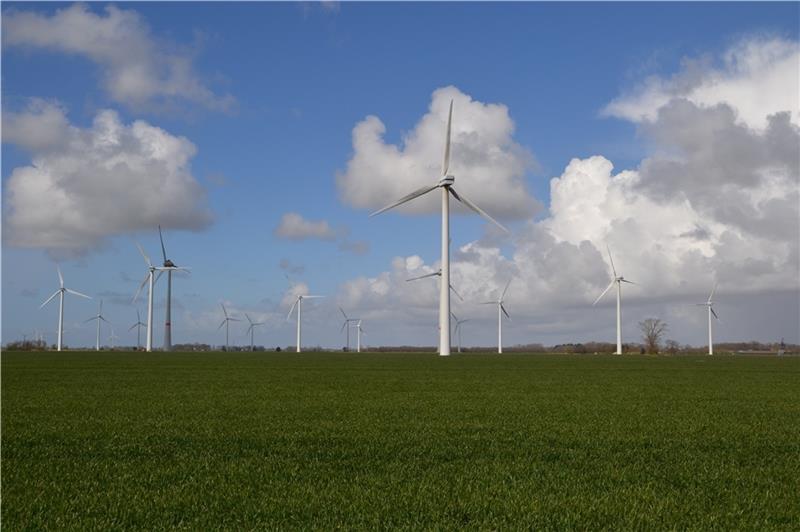 Der Windpark Oederquart-Wischhafen vom Köckweg aus gesehen. Foto: Helfferich