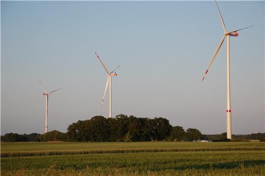 Der Windpark Regesbostel an der Grenze zu Sauensiek. Foto: Laudien