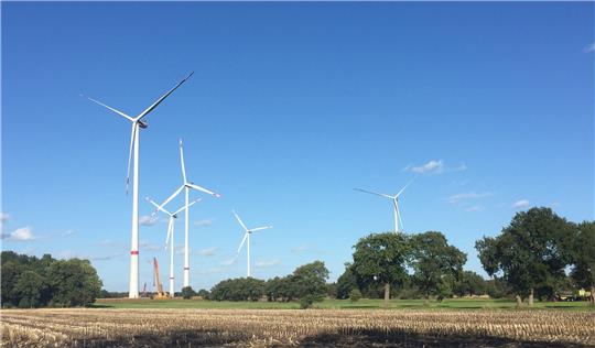 Der Windpark in Brest. Foto: Fehlbus