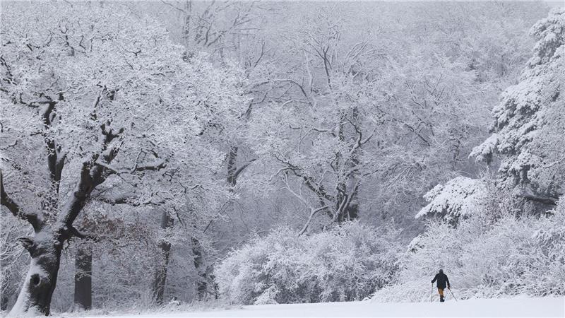 Der Winter hat Hamburg und Schleswig-Holstein fest im Griff.