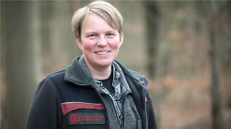 Der Wolf habe das Tierverhalten im Wald verändert, sagt Melanie Offermanns von der Revierförsterei Rüstje. (Archivbild)