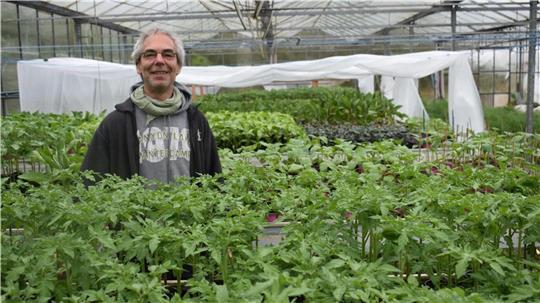 Der Zucht von Tomaten gilt Florian Jordans Hauptaugenmerk bei der Oldendorfer Saatzucht.