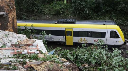 Der Zug entgleiste bei Riedlingen.