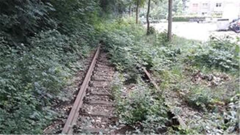 Der Zustand des Bahngleises in Ottenbeck, das wieder instand gesetzt werden soll.