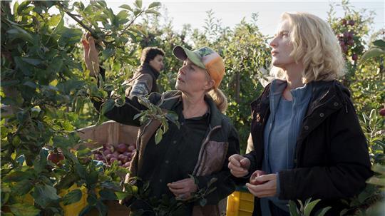 „Fassungslos“: Altländer Obstbauern kritisieren „Tatort“-Folge heftig Der aktuelle „Tatort“ mit Maria Furtwängler sorgt für reichlich Gesprächsstoff im Alten Land.
