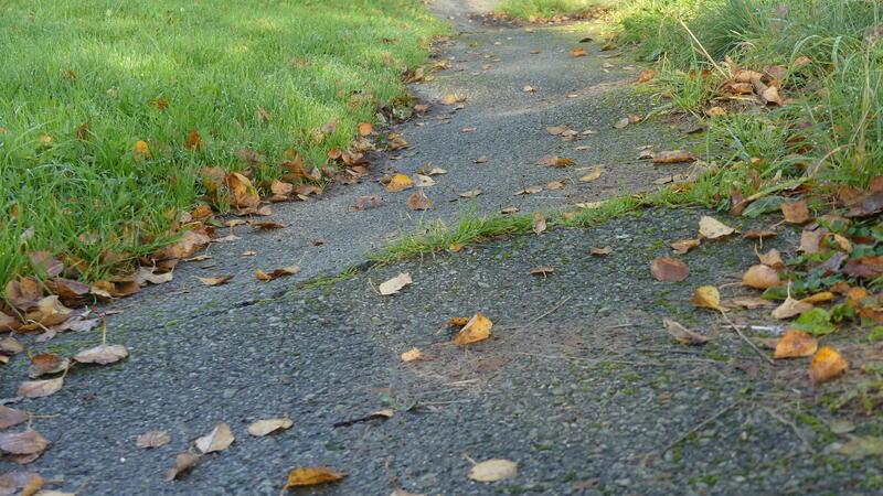 Sanierung von Drochtersens maroden Straßen könnte sich erheblich verzögern Der auch von Radlern gern genutzte Wanderweg Große Räthe auf Krautsand gleicht auf vielen Abschnitten einer Buckelpiste.