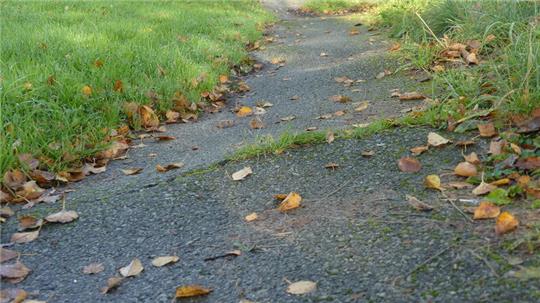 Der auch von Radlern gern genutzte Wanderweg Große Räthe auf Krautsand gleicht auf vielen Abschnitten einer Buckelpiste.