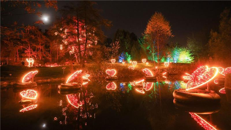 Der beliebte Christmas Garden im Loki-Schmidt-Garten bleibt am Freitag auch geschlossen.
